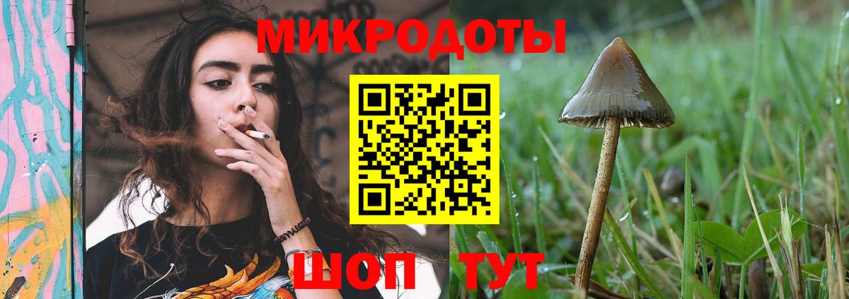 Галлюциногенные грибы Psilocybine cubensis  Вход с VPN  Киржач 